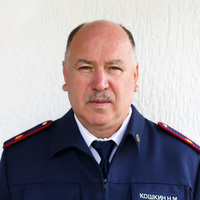 Кошкин Николай Михайлович